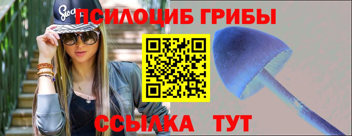 Псилоцибиновые грибы прущие грибы Котовск