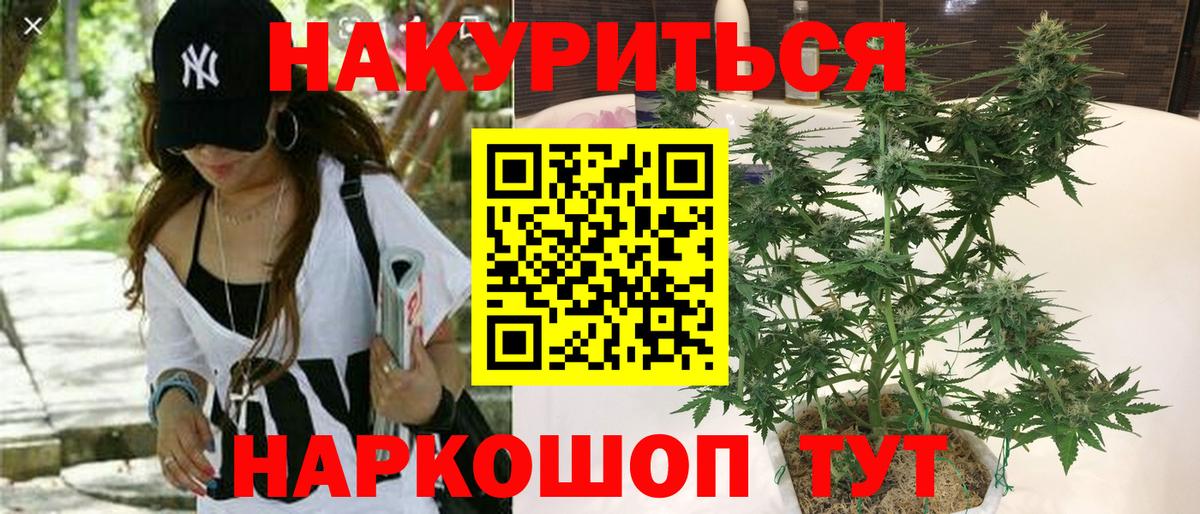 Канабис сатива Котовск